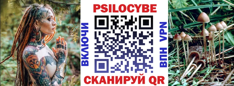 Псилоцибиновые грибы Psilocybe  купить наркоту  Луга 